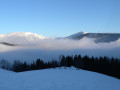 mushing 20c28ac845 0e76 8064 8006b8b0b61b05
